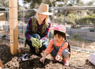 Enhancing Your Garden: The Importance of Mulching Garden