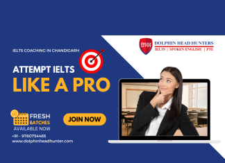 How Dolphin Head Hunters Has Been A Game Changer in the IELTS Industry? best IELTS institute in Chandigarh