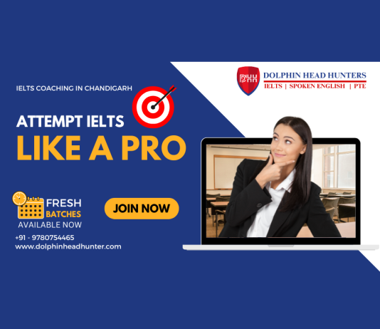 How Dolphin Head Hunters Has Been A Game Changer in the IELTS Industry? best IELTS institute in Chandigarh