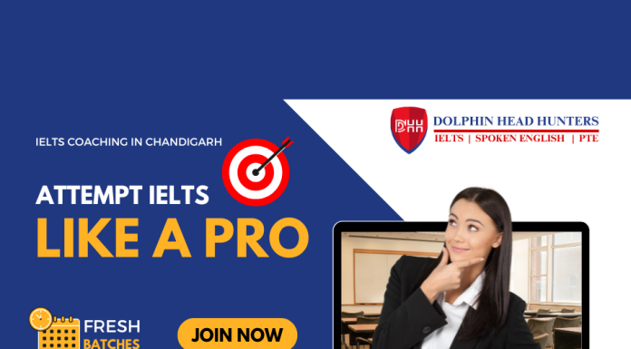 How Dolphin Head Hunters Has Been A Game Changer in the IELTS Industry? best IELTS institute in Chandigarh