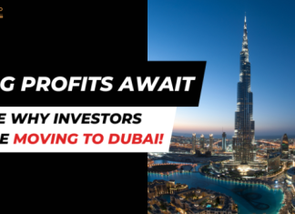 Your Next Big Opportunity Awaits – Here’s Why Investors Are Flocking to Dubai! investment opportunities in Dubai
