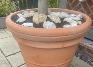 Terracotta Planters and Soakaway Crates: Enhancing Outdoor Spaces with Sustainability soakaway crates