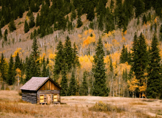 Things You Can Do to Make Your Vacation More Luxurious Vacation
