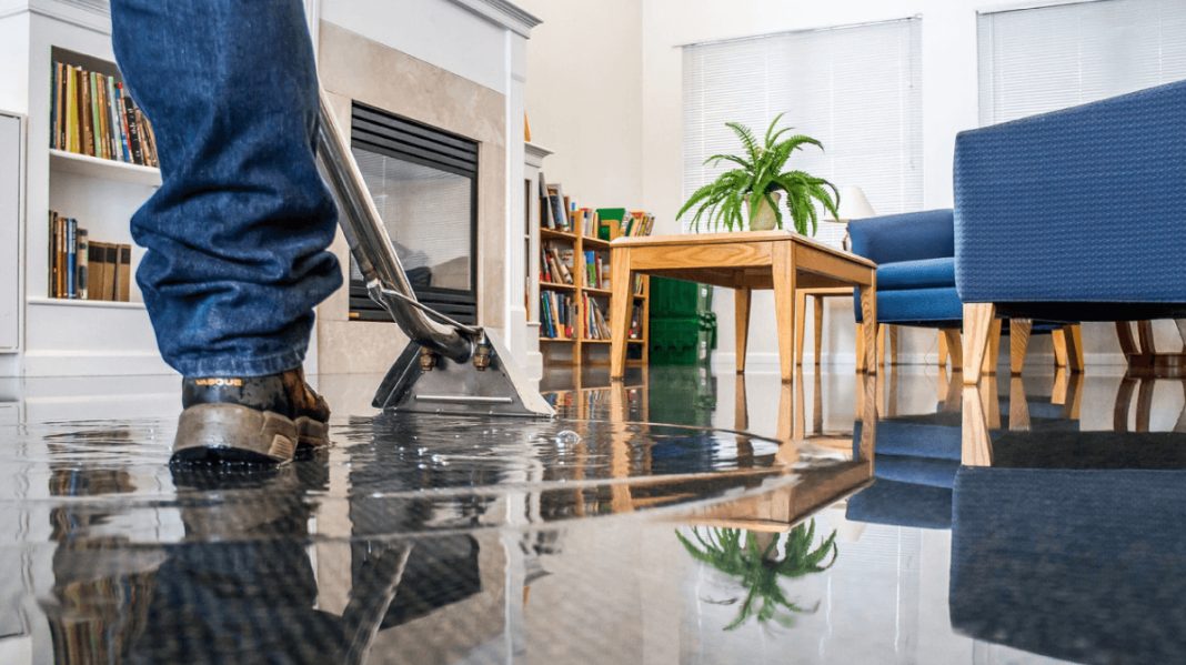Quality Restoration NW LLC