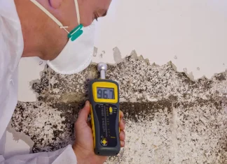 What Happens During a Professional Mold Assessment? A Step-by-Step Look Mold Assessment