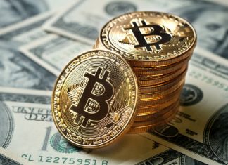 Crypto Market Outlook 2025: Key Trends Every Investor Should Watch Crypto