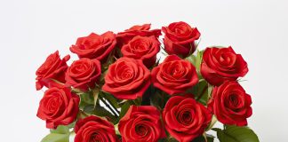 How a Bouquet of Flowers Makes Every Event Special red roses