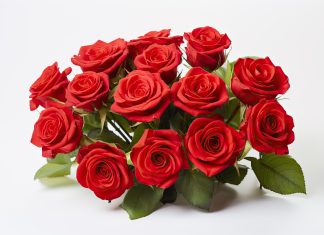 How a Bouquet of Flowers Makes Every Event Special red roses