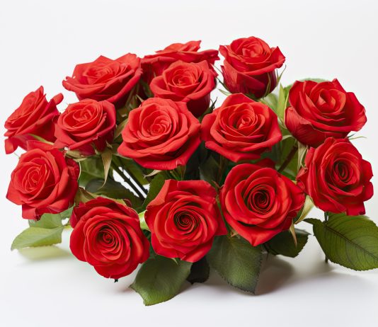 How a Bouquet of Flowers Makes Every Event Special red roses