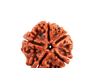 Discover the Magic of 5 Mukhi Rudraksha Bannerghatta Road: A Spiritual Journey in Bangalore 5 Mukhi Rudraksha Bannerghatta Road