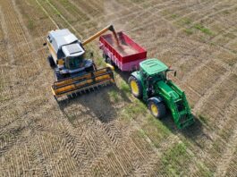 Tips for Navigating Online Farm Equipment Auctions Auction companies