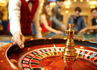 99 Exchange Sign Up to First Bet: The Complete Beginner’s Journey Through Cricket Exchange Betting 99exch
